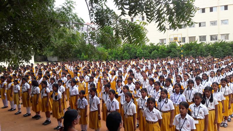 MVM Indore School Education